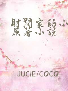 财阀家的小儿子原著小说