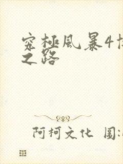 究极风暴4博人之路