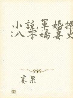 小说,军婚撩人:八零娇妻火辣辣