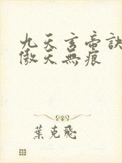 九天玄帝诀小说傲天无痕