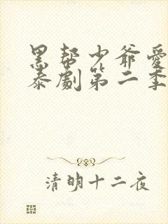 黑帮少爷爱上我泰剧第二季