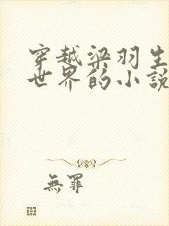 穿越梁羽生武侠世界的小说