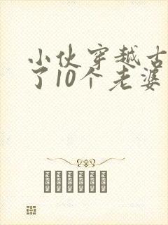 小伙穿越古代娶了10个老婆电视剧