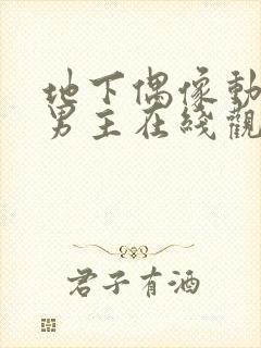 地下偶像动漫双男主在线观看动漫