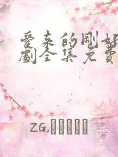 爱来的刚好电视剧全集免费播放