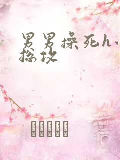 男男操死h小说总攻