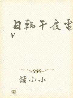 日韩午夜电影av