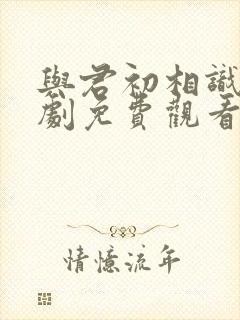 与君初相识电视剧免费观看第3集