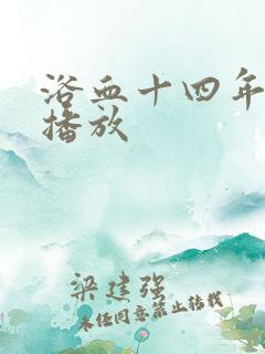 浴血十四年全集播放