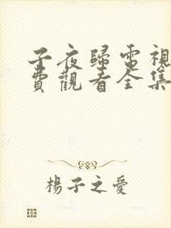 子夜归电视剧免费观看全集高清27集