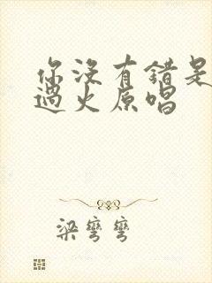 你没有错是我爱过火原唱