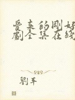 爱来的刚好电视剧全集在线观看