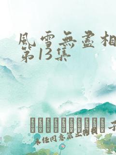 风雪无尽相思情第13集