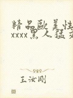 精品欧美性猛交xxxx黑人猛交