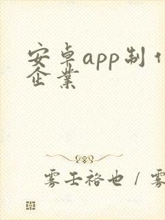 安卓app制作企业