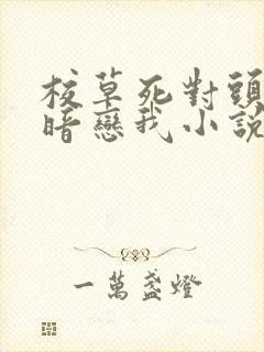 校草死对头竟然暗恋我小说免费阅读