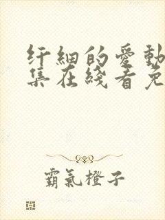 纤细的爱动漫全集在线看免费观看