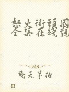 怒火街头国语版全集在线观看