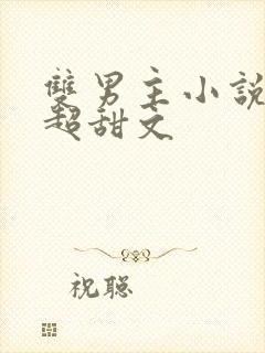 双男主小说推荐超甜文