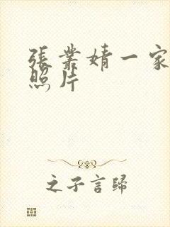 张丛婧一家三口照片