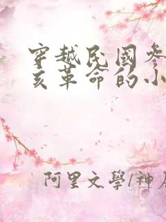 穿越民国参加辛亥革命的小说