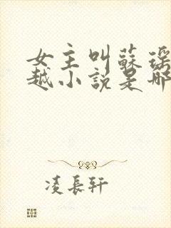 女主叫苏瑶的穿越小说是哪部小说