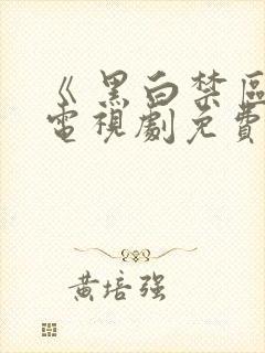 《 黑白禁区》电视剧免费看