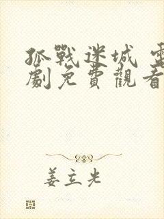 孤战迷城 电视剧免费观看