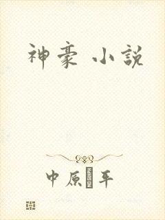 神豪 小说