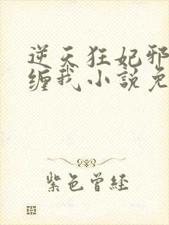 逆天狂妃邪王别缠我小说免费阅读