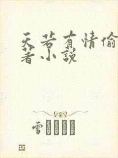 天若有情偷心原著小说