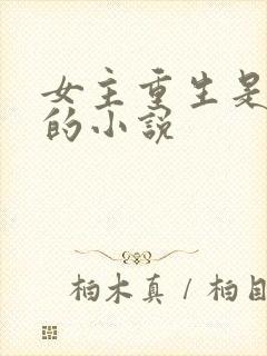 女主重生是学霸的小说