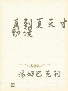 直到夏天才结束动漫