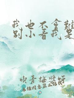 我也不会难过你别小看我是什么歌