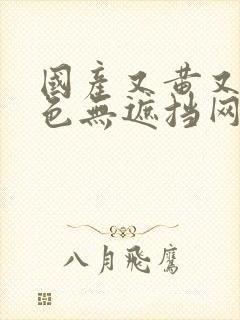 国产又黄又爽又色无遮挡网站