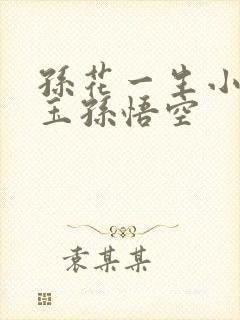 孙花一生小说黛玉孙悟空