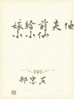 嫁给前夫他哥 小小仙