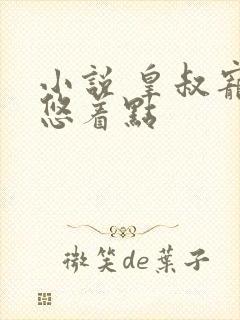 小说 皇叔宠妃悠着点