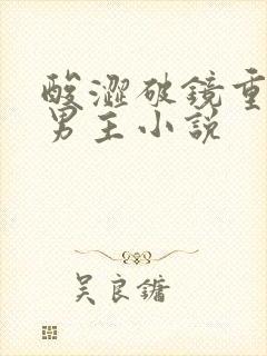 酸涩破镜重圆双男主小说