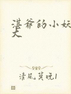 湛爷的小妖精长大