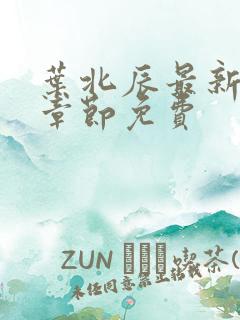 叶北辰最新更新章节免费