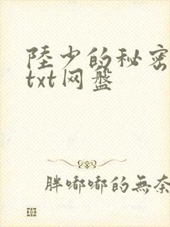 陆少的秘密恋人txt网盘