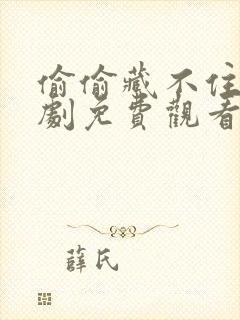 偷偷藏不住电视剧免费观看免费