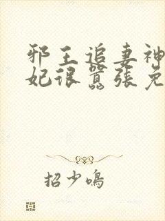 邪王追妻神医狂妃很嚣张免费阅读