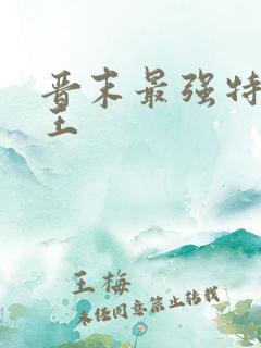 晋末最强特种兵王