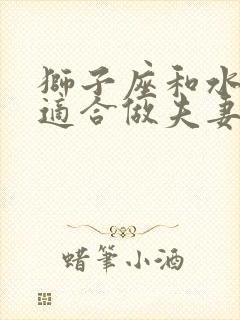 狮子座和水瓶座适合做夫妻吗