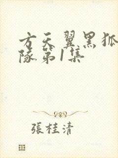 方天翼黑狐突击队第1集