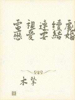 电视连续剧不要恋爱要结婚全集免费观看