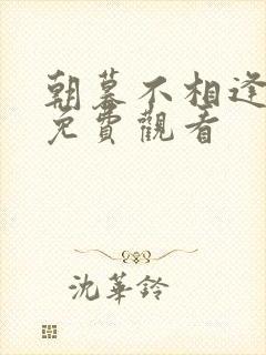 朝暮不相逢短剧免费观看