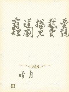 霸道总裁爱上鸟短剧免费观看